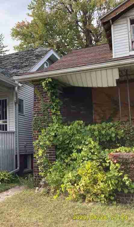 3024889-1_003 (2).jpg